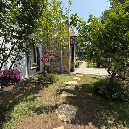 فيلة Adventure *