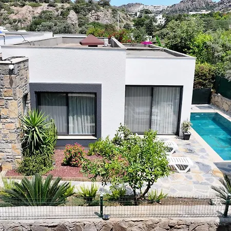 Adventure * Αλικαρνασσός